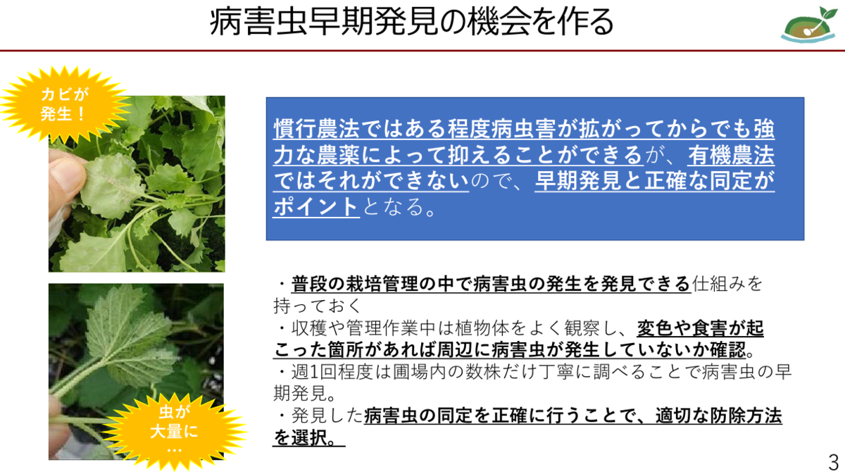 病害虫早期発見のポイントと観察事例